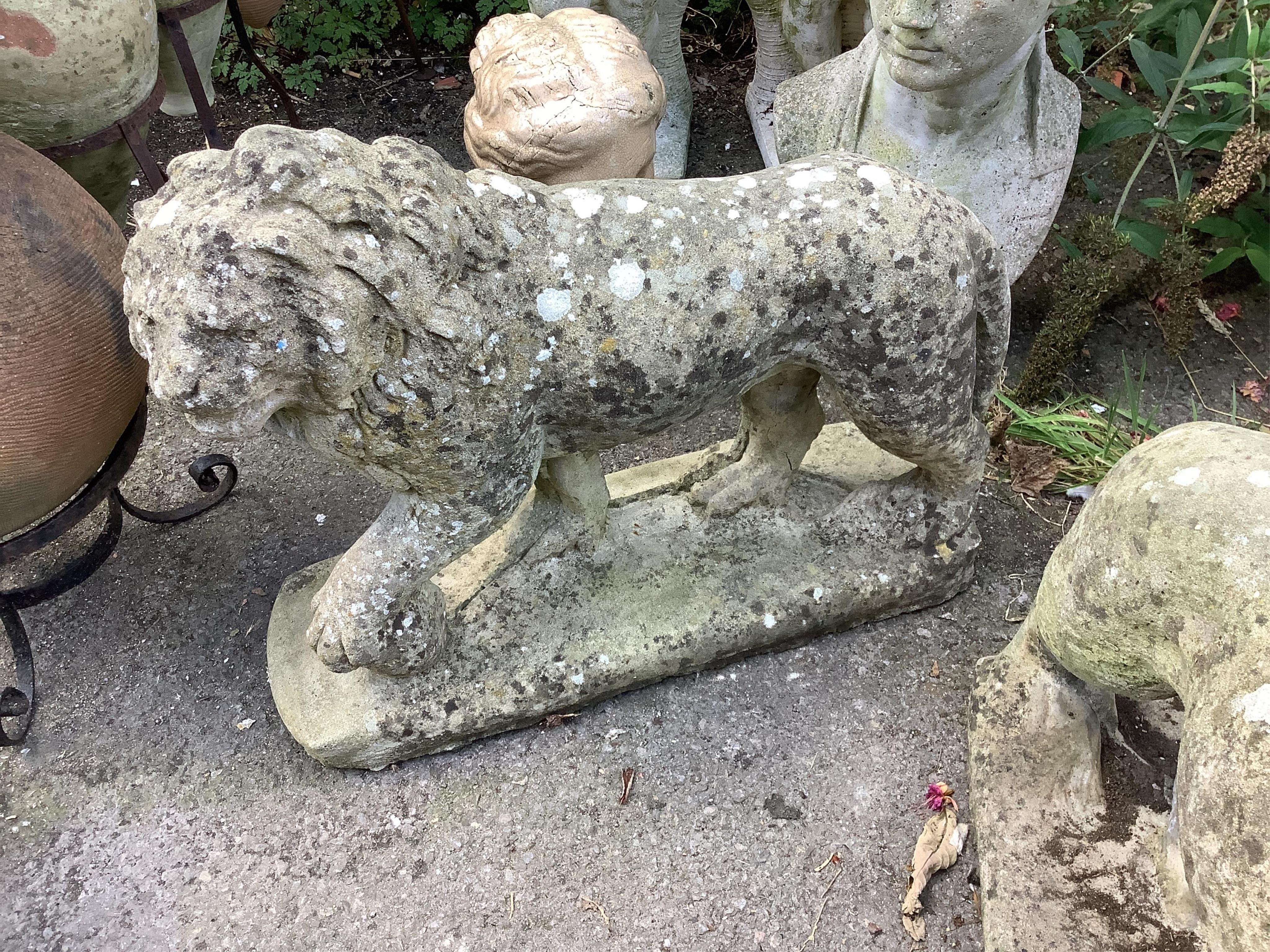 A pair of reconstituted stone standing lion garden ornaments, length 66cm, height 56cm. Condition - fair